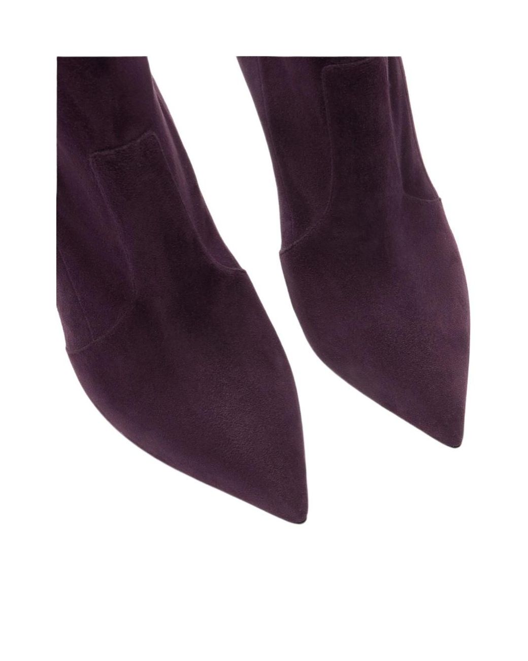 Casadei Purple Blade Pointed Ankle Boots