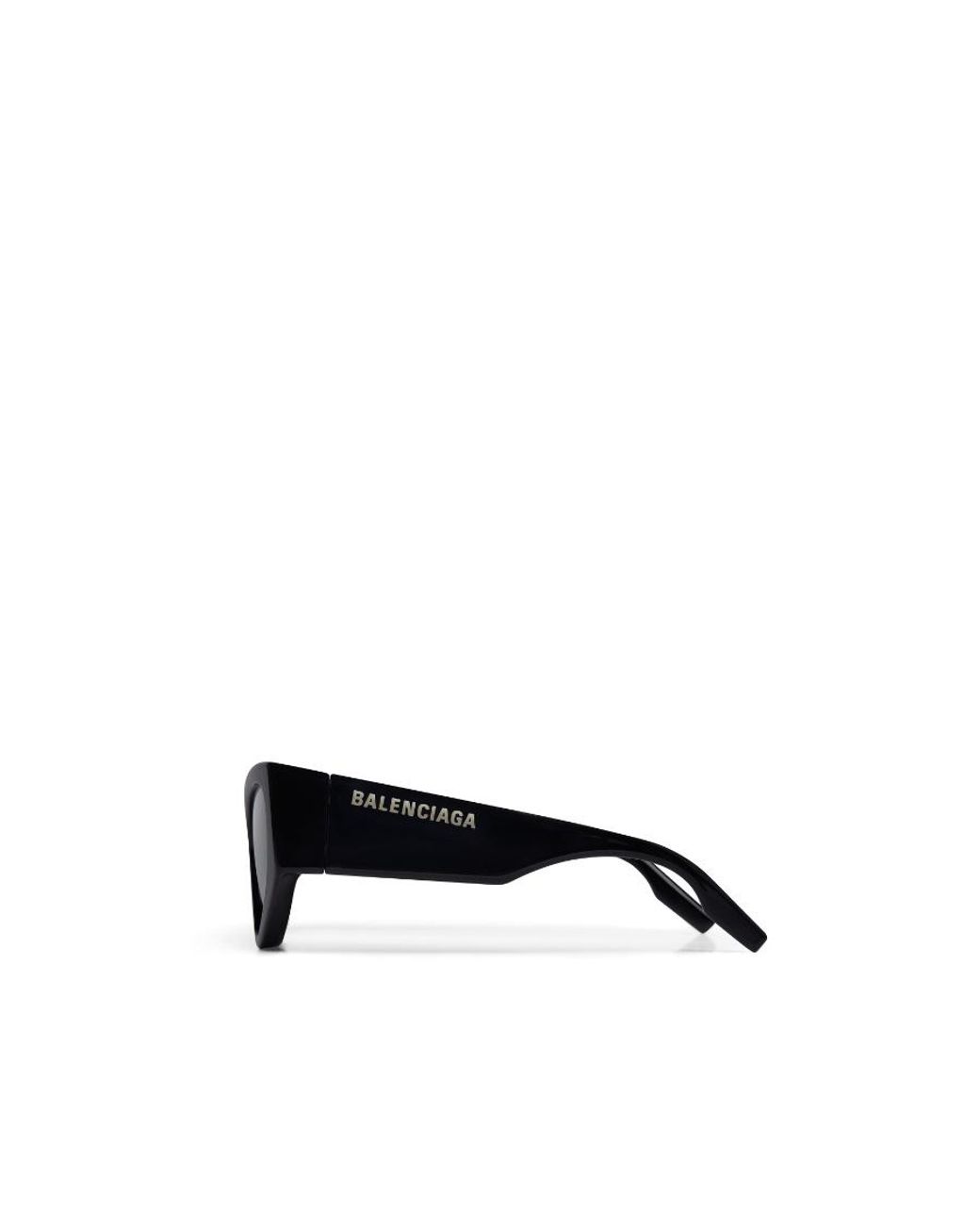 Balenciaga Multicolor Eyewear Cat-Eye Frame Sunglasses