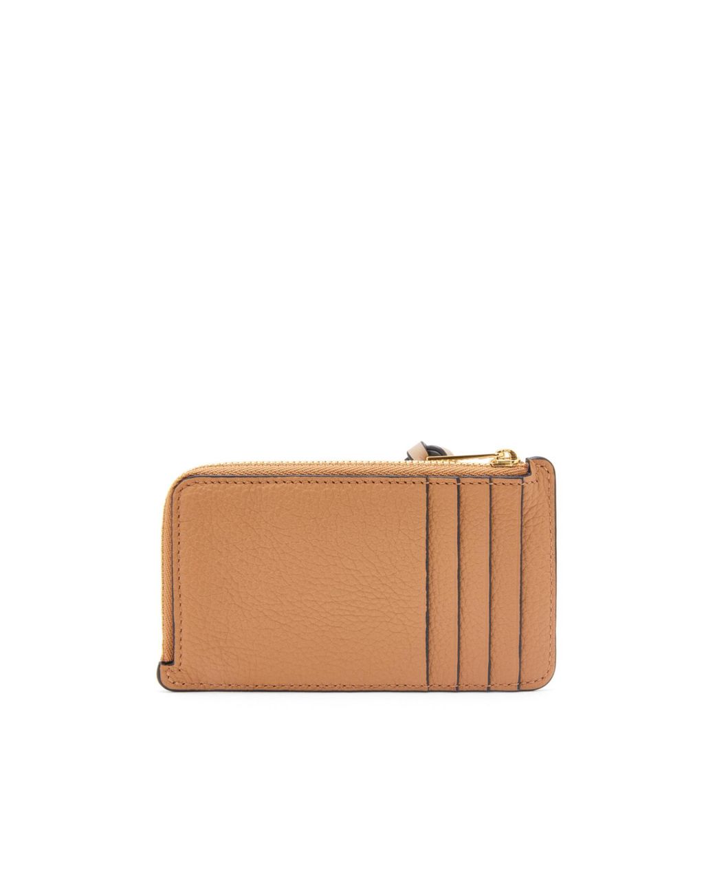 Loewe Multicolor Anagram Zipped Cardholder