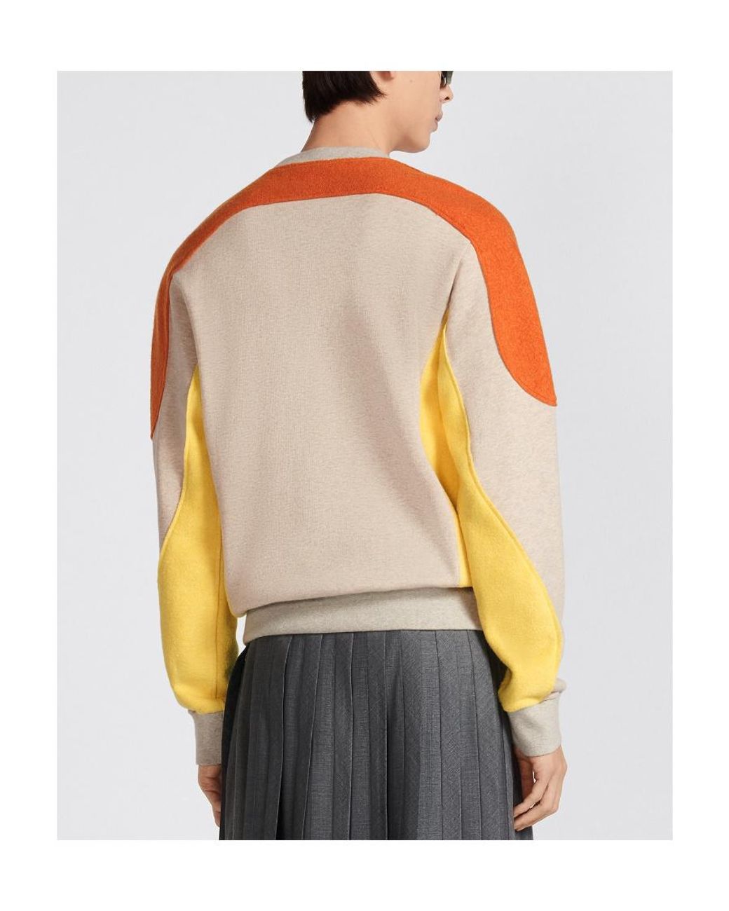 Dior Multicolor Homme Logo Printed Crewneck Sweatshirt for men
