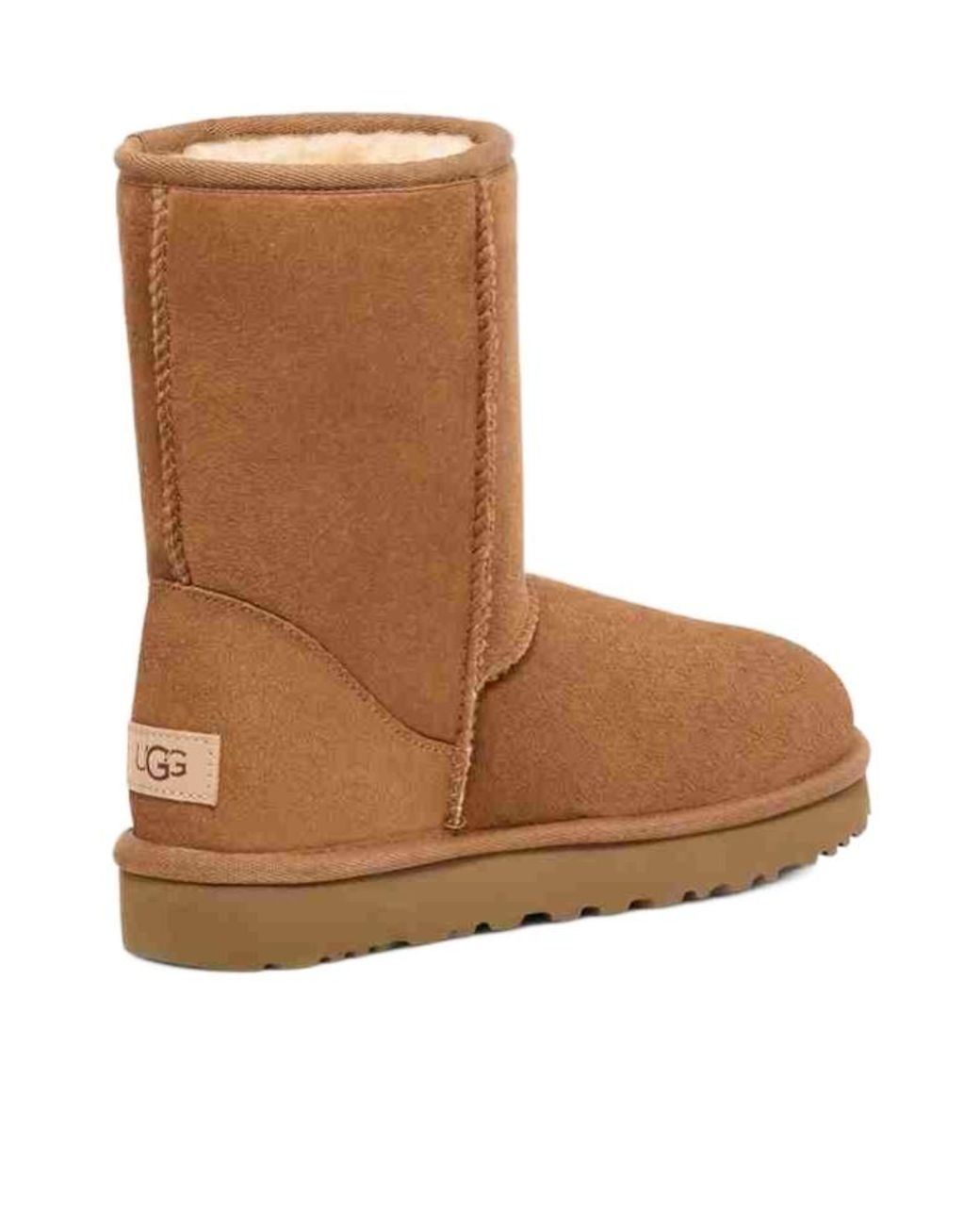 Ugg Brown Classic Short Boots for men