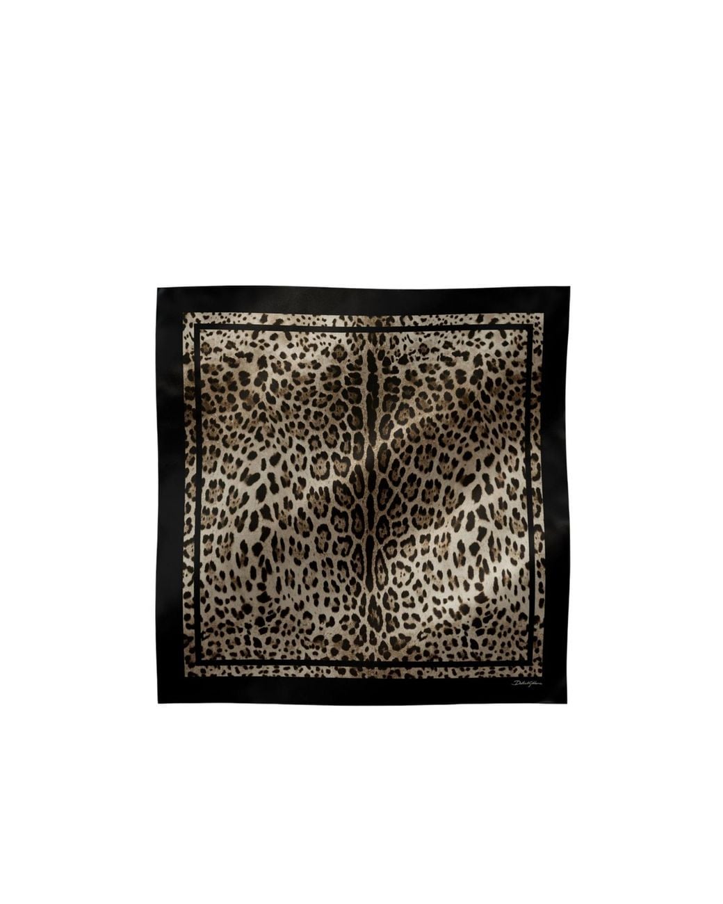 Dolce & Gabbana Black Leopard Printed Scarf