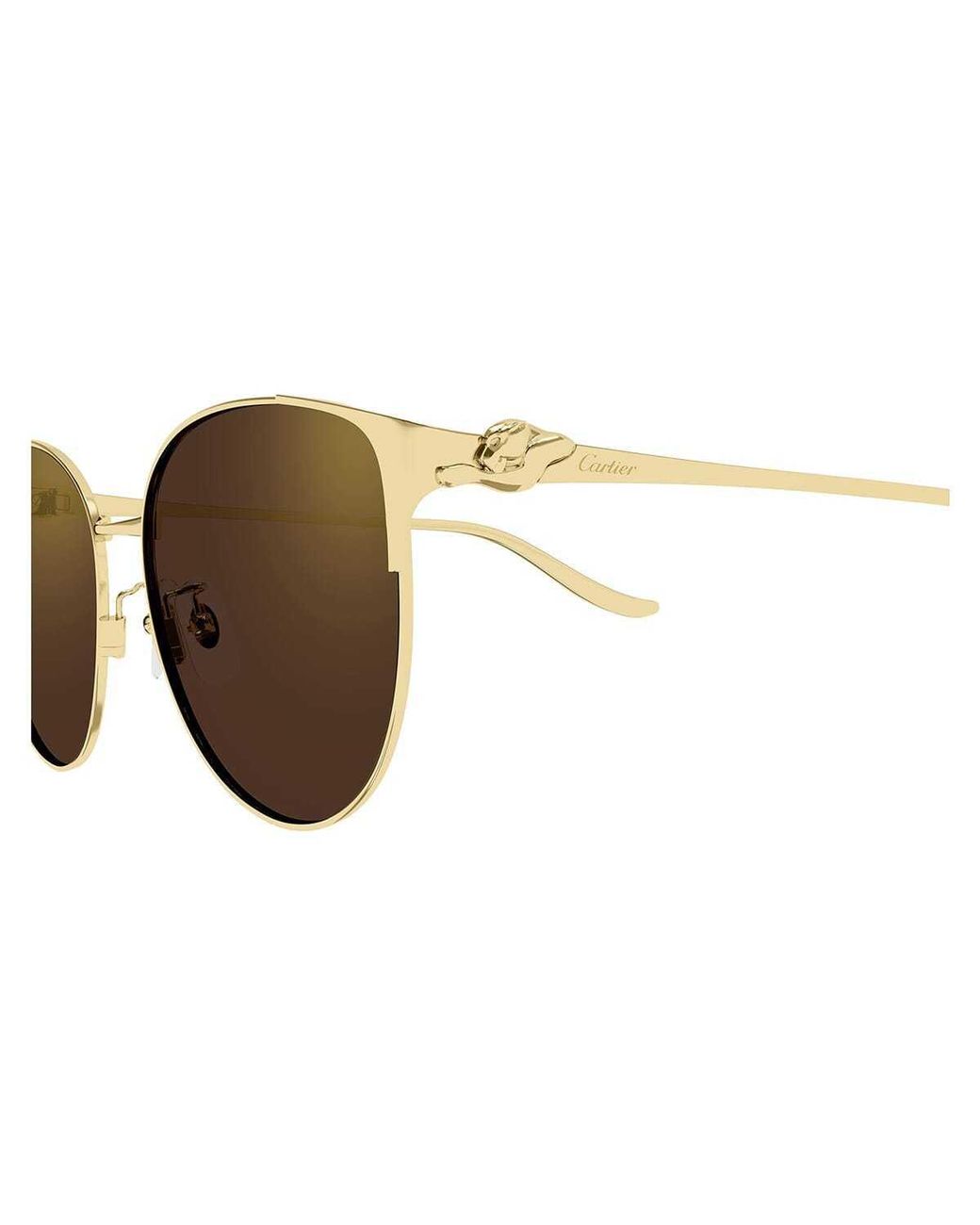 Cartier Multicolor Cat-Eye Sunglasses for men