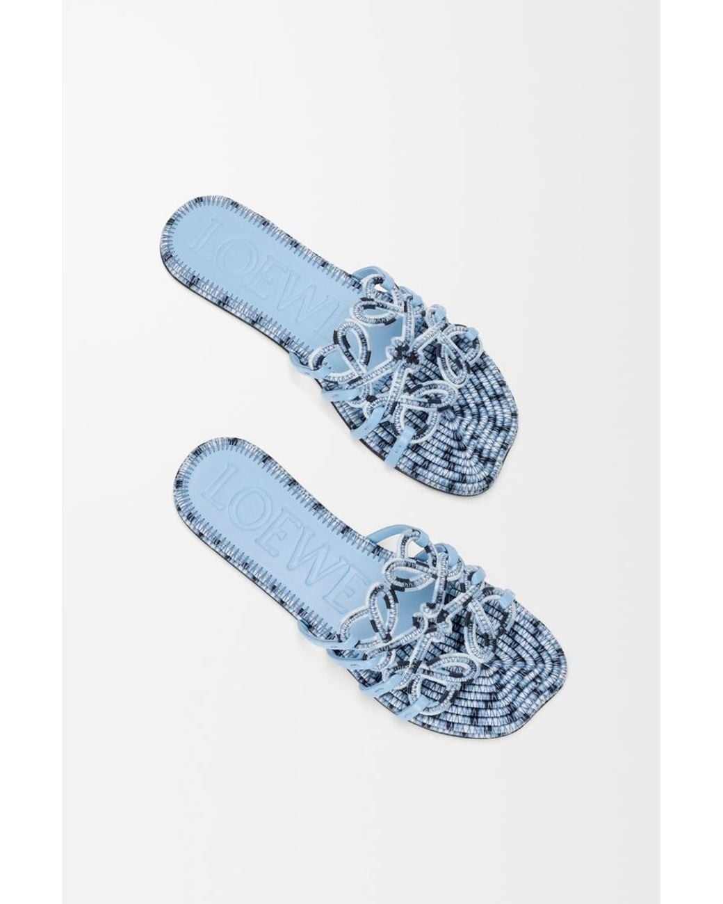 Loewe Blue Petal Anagram Embroidered Sandals