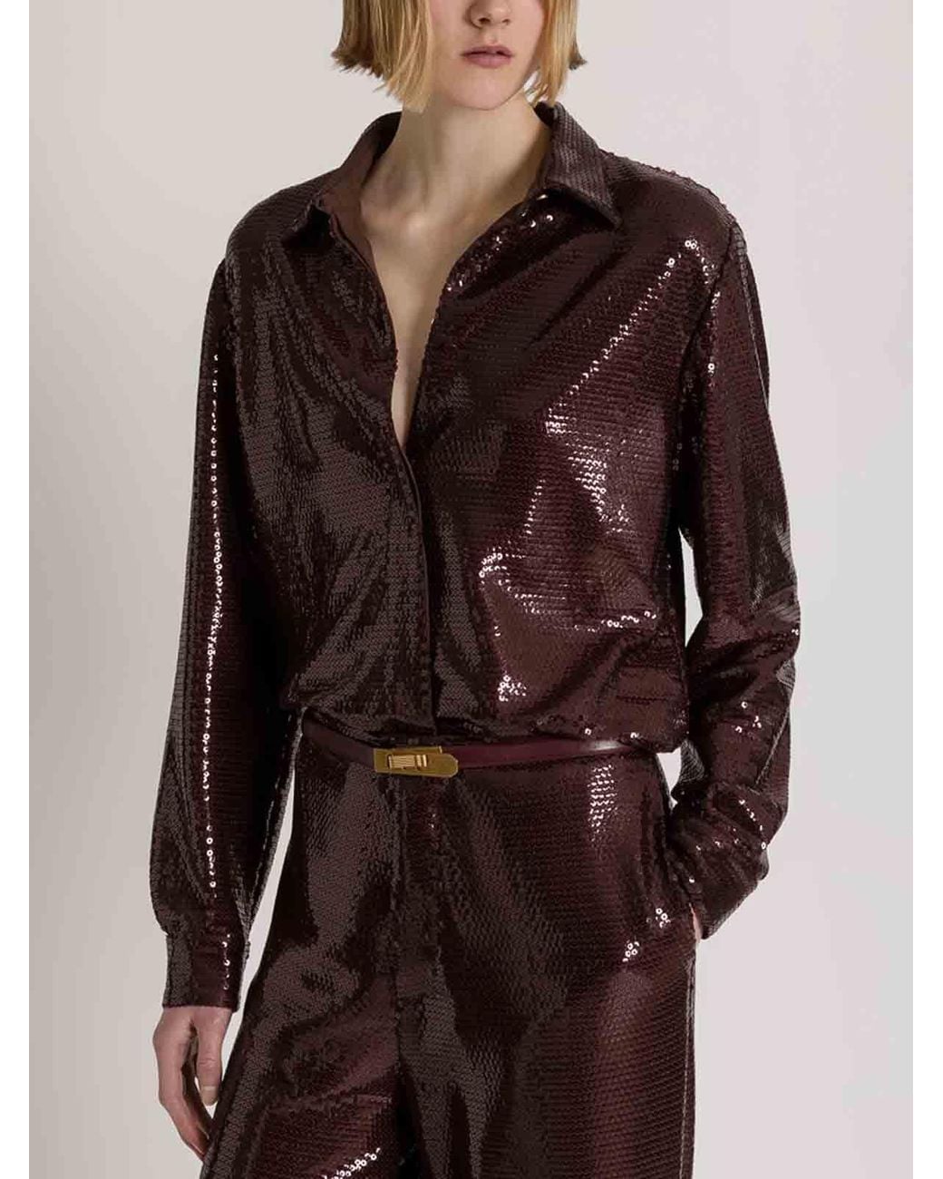 Alberta Ferretti Brown Long-Sleeved Shirt