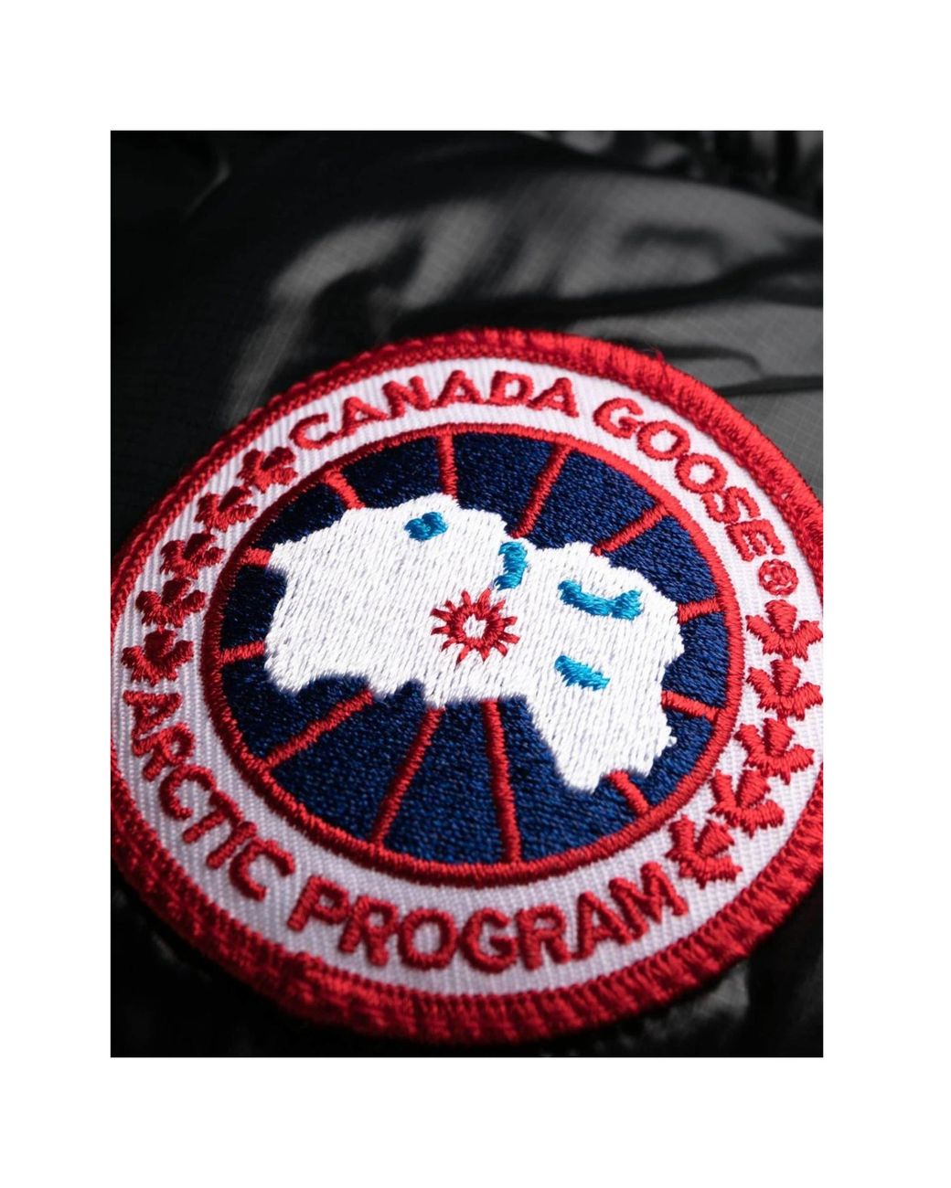 Canada Goose Black Cypress Puffer Hooded Jacket