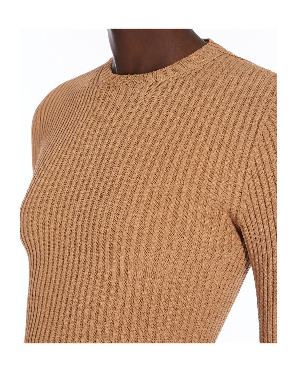 Max Mara Natural Arcella 123 Crewneck Long-Sleeved Jumper