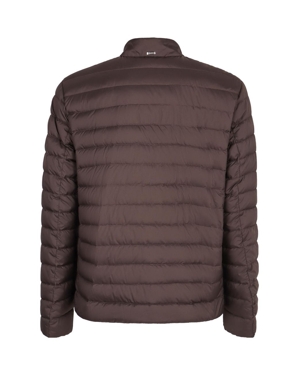 Herno Brown Short Padded Down Jacket for men