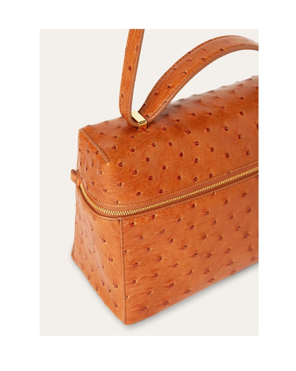 Loro Piana Brown Extra Bag L27