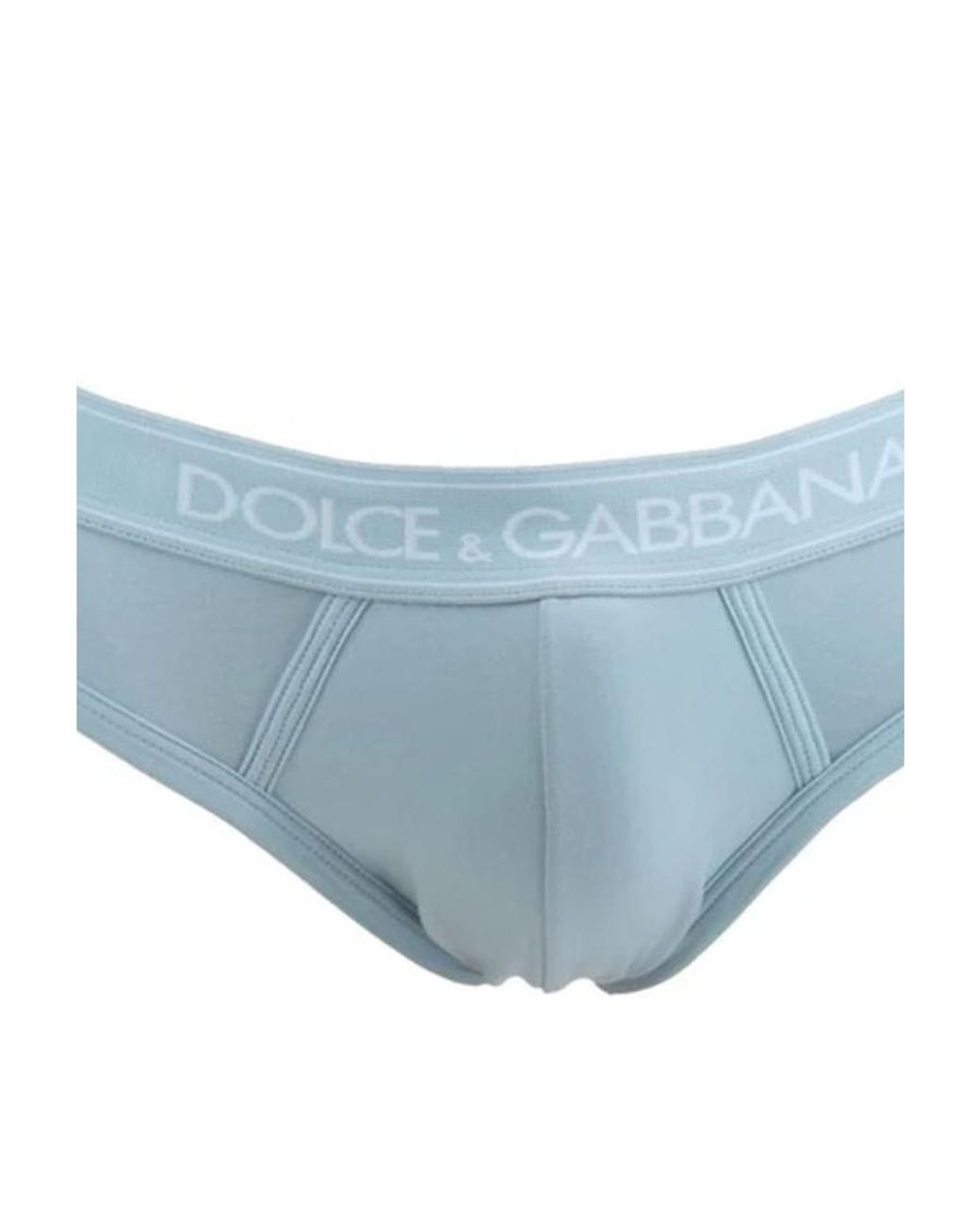 Dolce & Gabbana Blue Logo Detail Panties for men