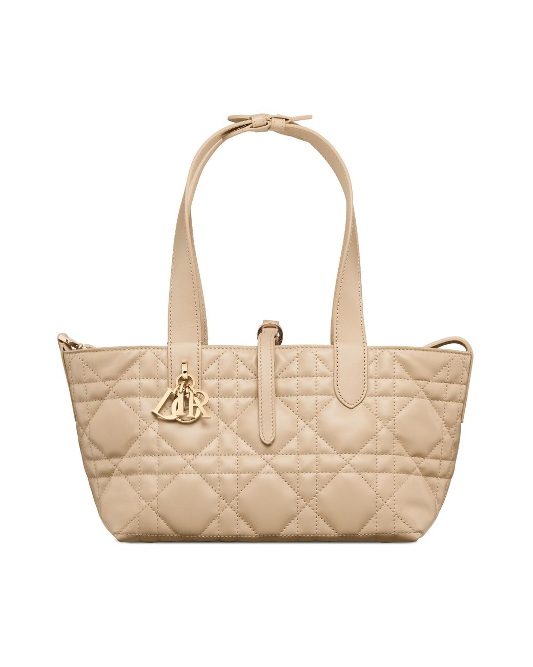 Dior Natural Small Toujours Bag