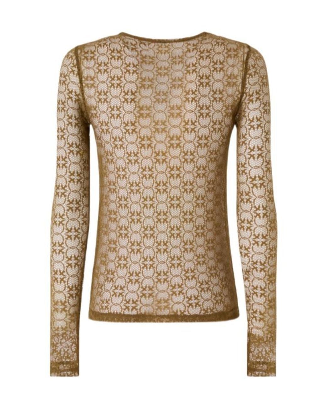 Pinko Brown Sheer Patterned Knitted Top