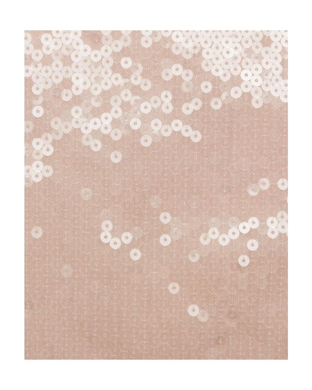 Gucci Natural Sequin Embroidered Tulle Skirt