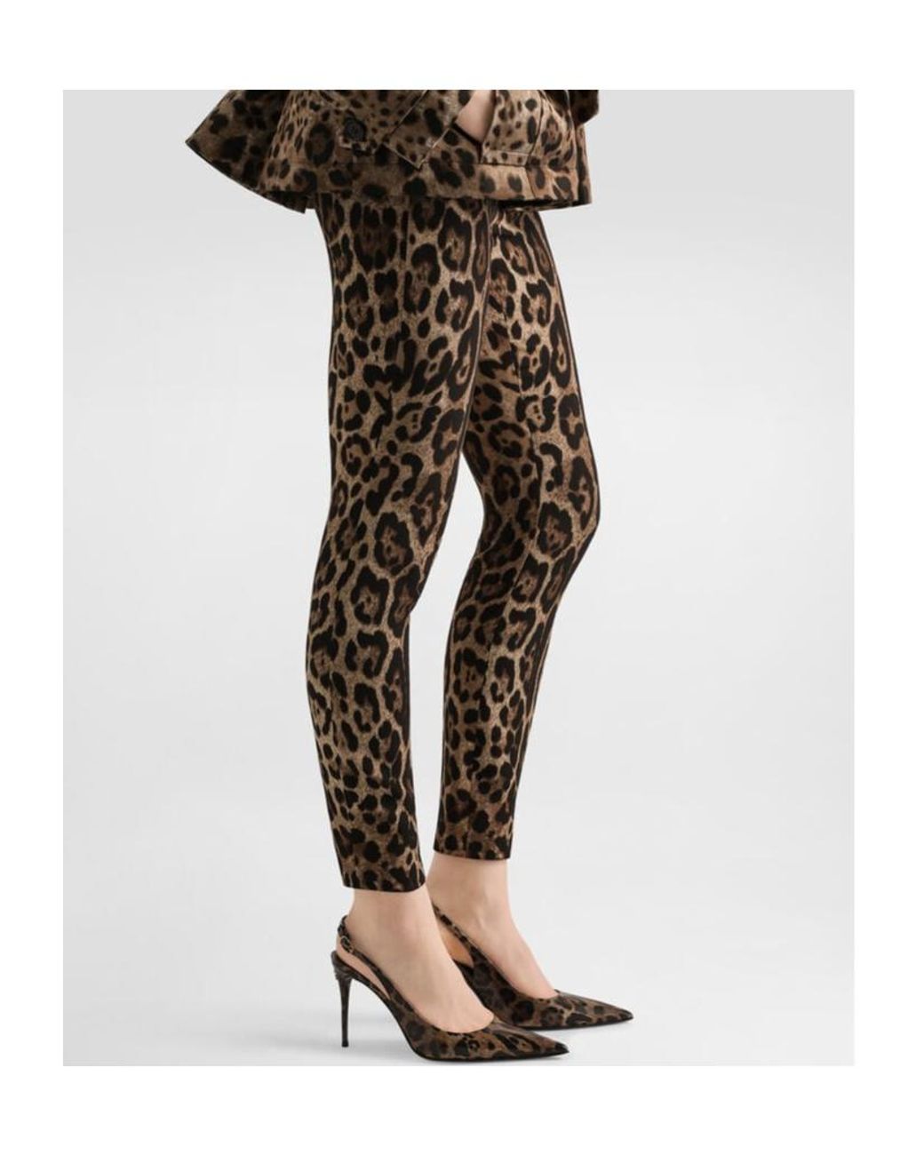 Dolce & Gabbana Black Leopard Printed Leggings