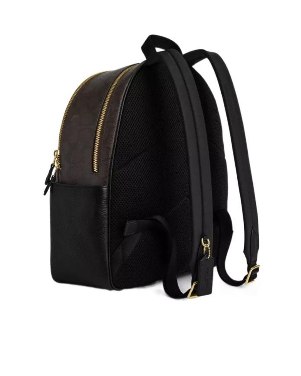 coach black court backpack In Signature Canvas Charcoal/Black CZ176 COACH Court Backpack In Signature