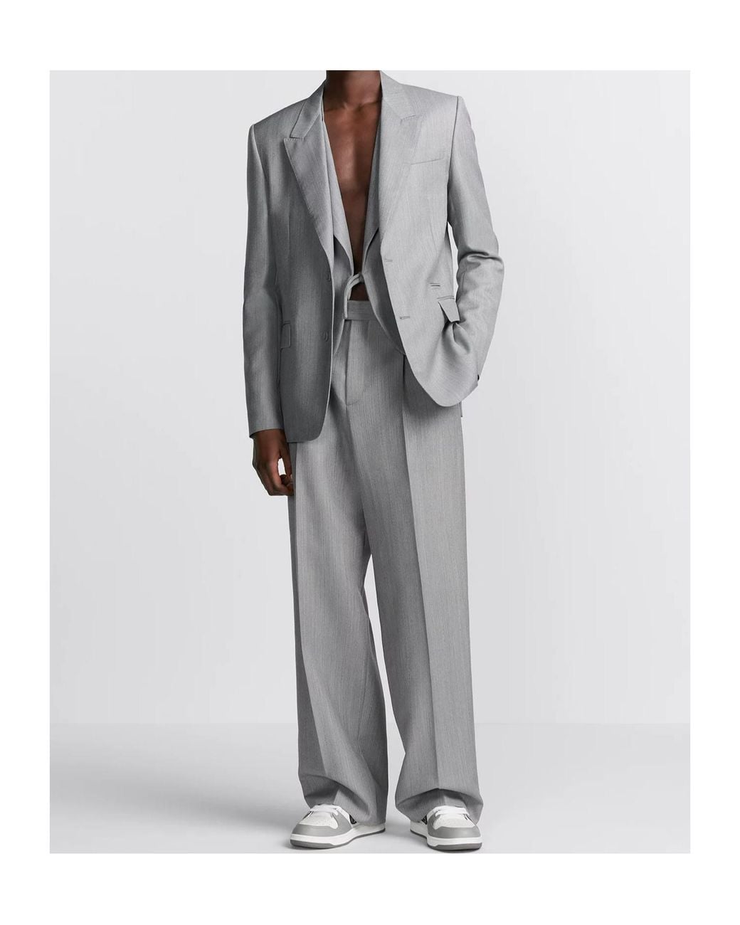 Dior Gray Homme Regular Fit Straight-Leg Trousers for men