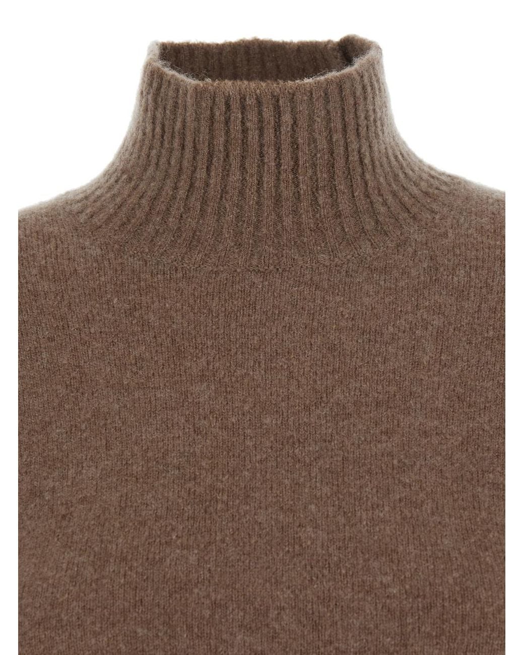 Max Mara Brown Edison High-Neck Long-Sleeved Dress