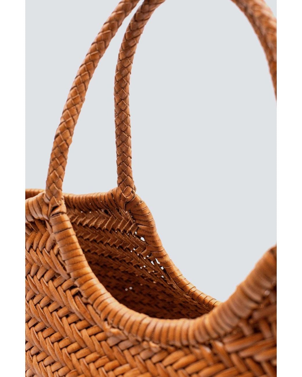 Dragon Diffusion Brown Nantucket Big Tote Bag
