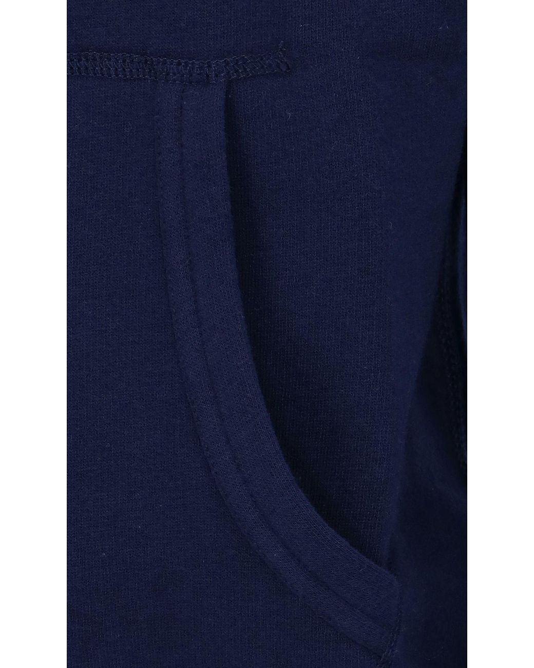 Polo Ralph Lauren Blue Ralph Lauren Zip-Up Logo Hoodie for men