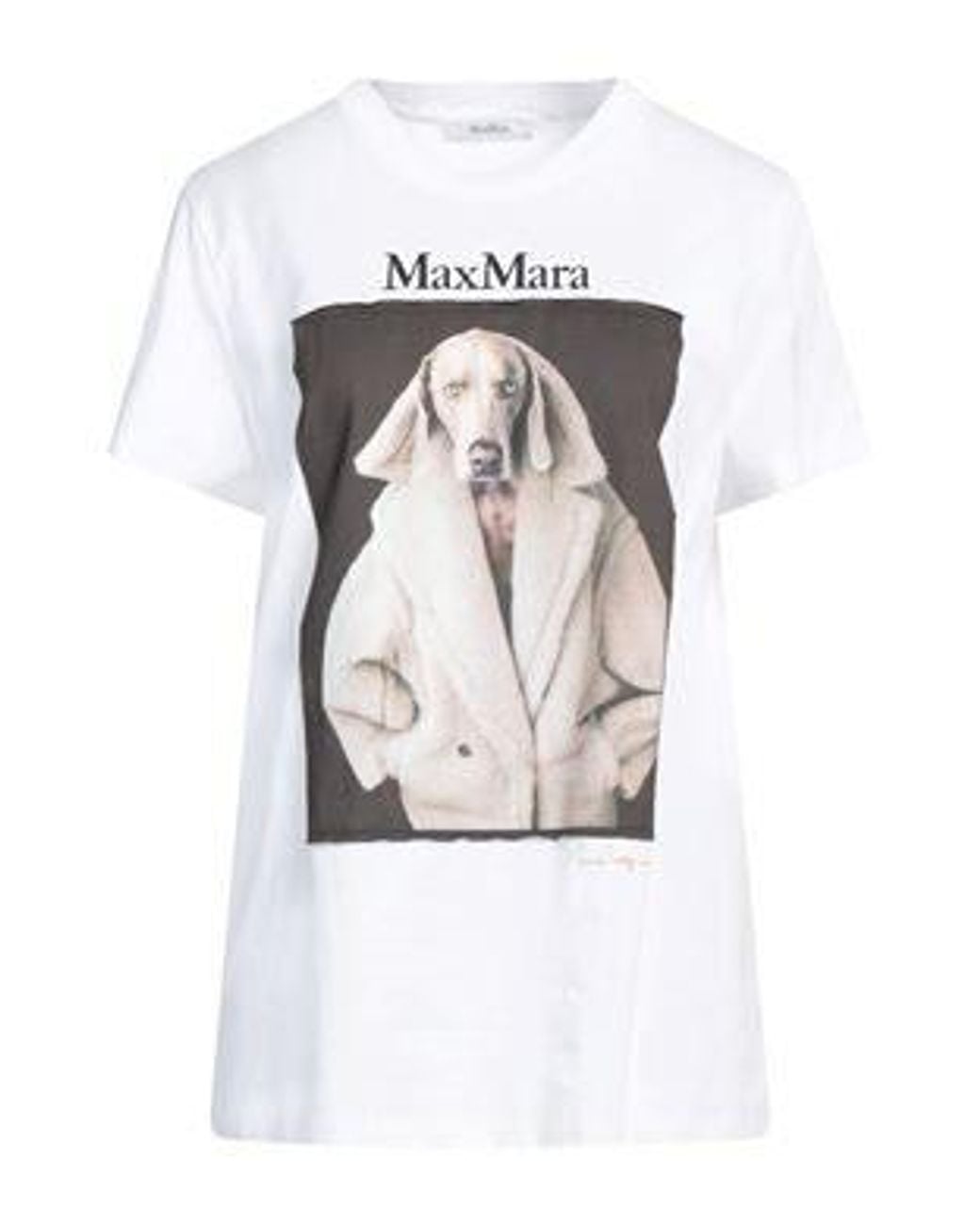 Max Mara White T-Shirt Cotton
