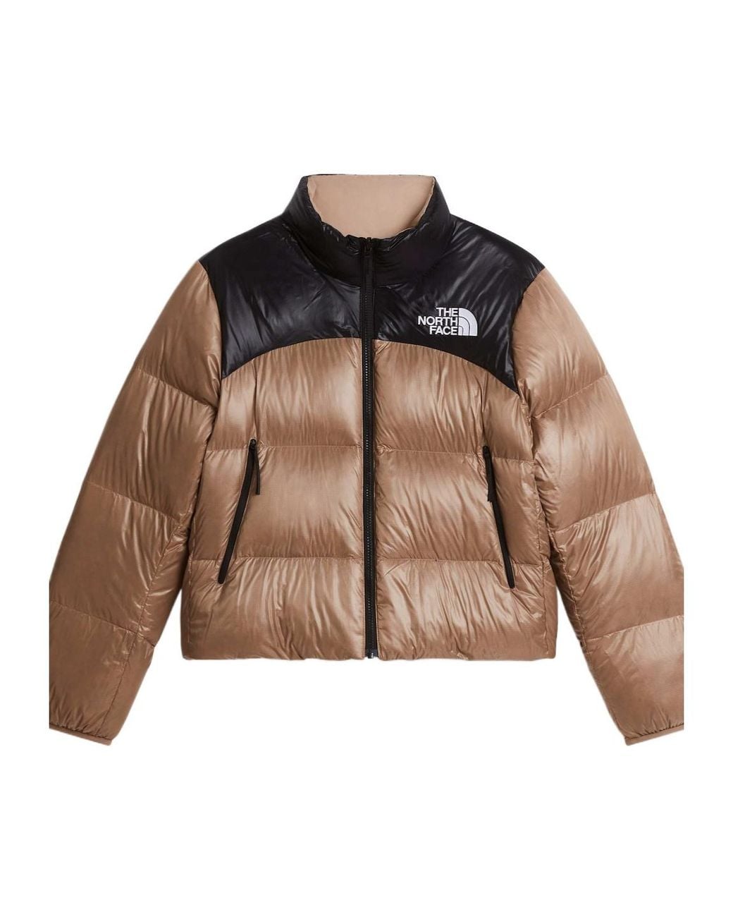 The North Face Natural Colorblock Down Jacket