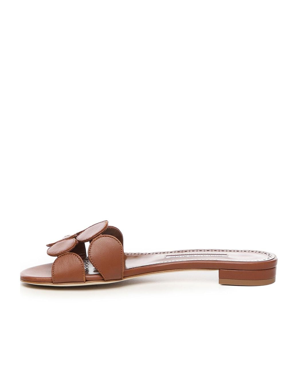 Manolo Blahnik Brown Circle Slide Sandals