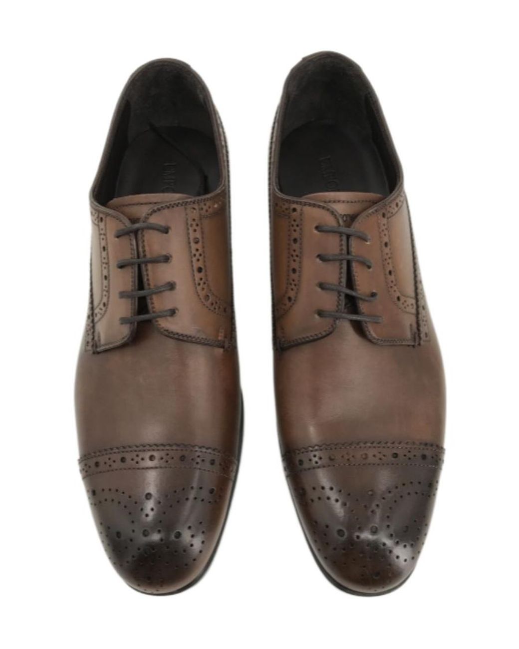 Emporio Armani Brown Logo Business Casual Shoes for men