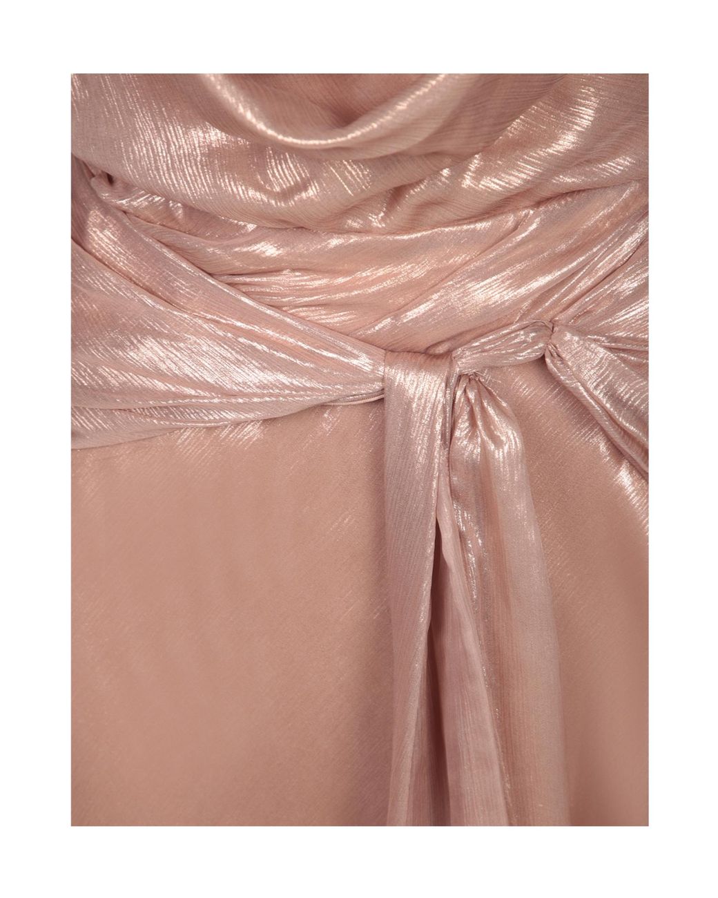 Maria Lucia Hohan Brown Backless Dress