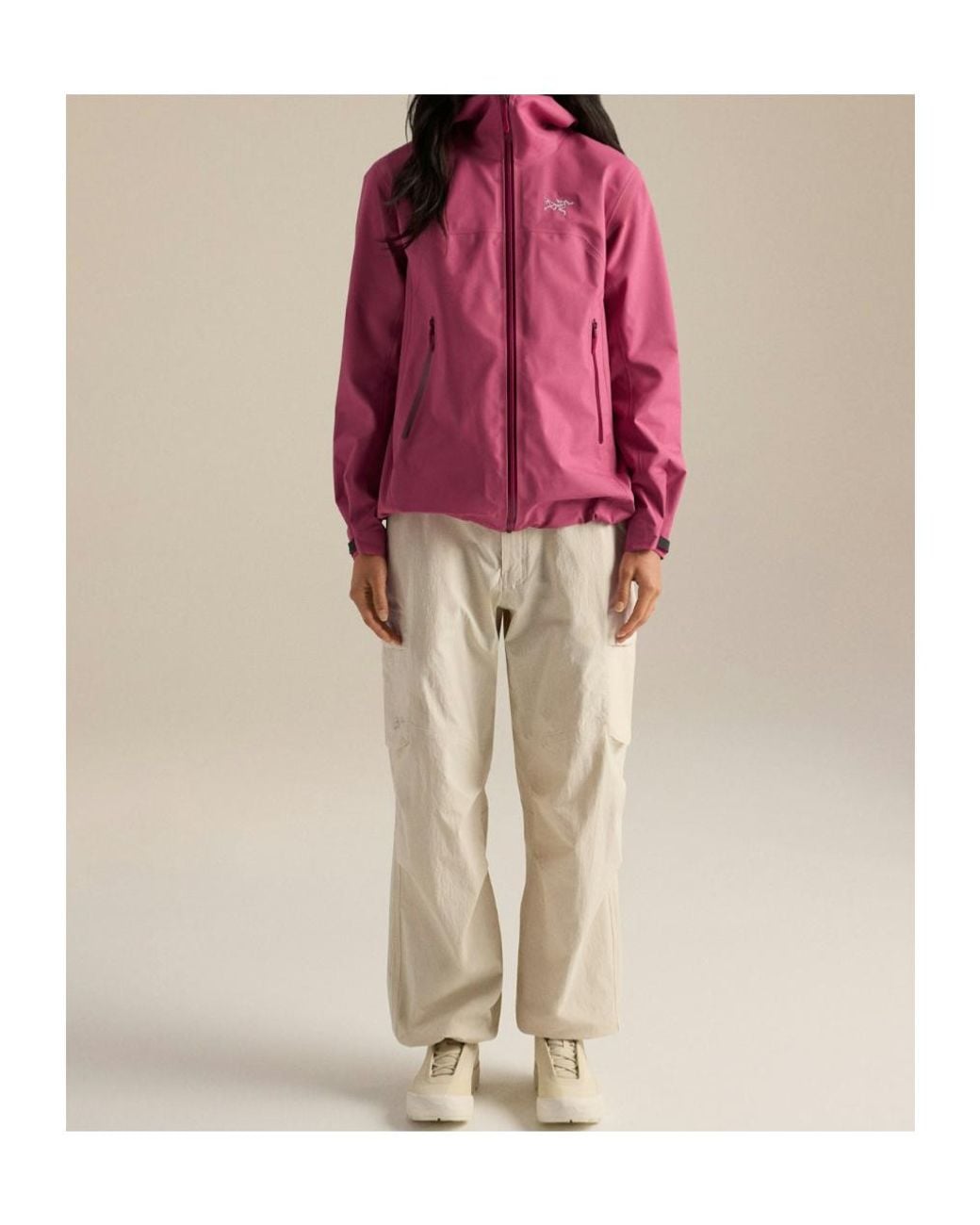 Arc'teryx Purple Beta Jacket