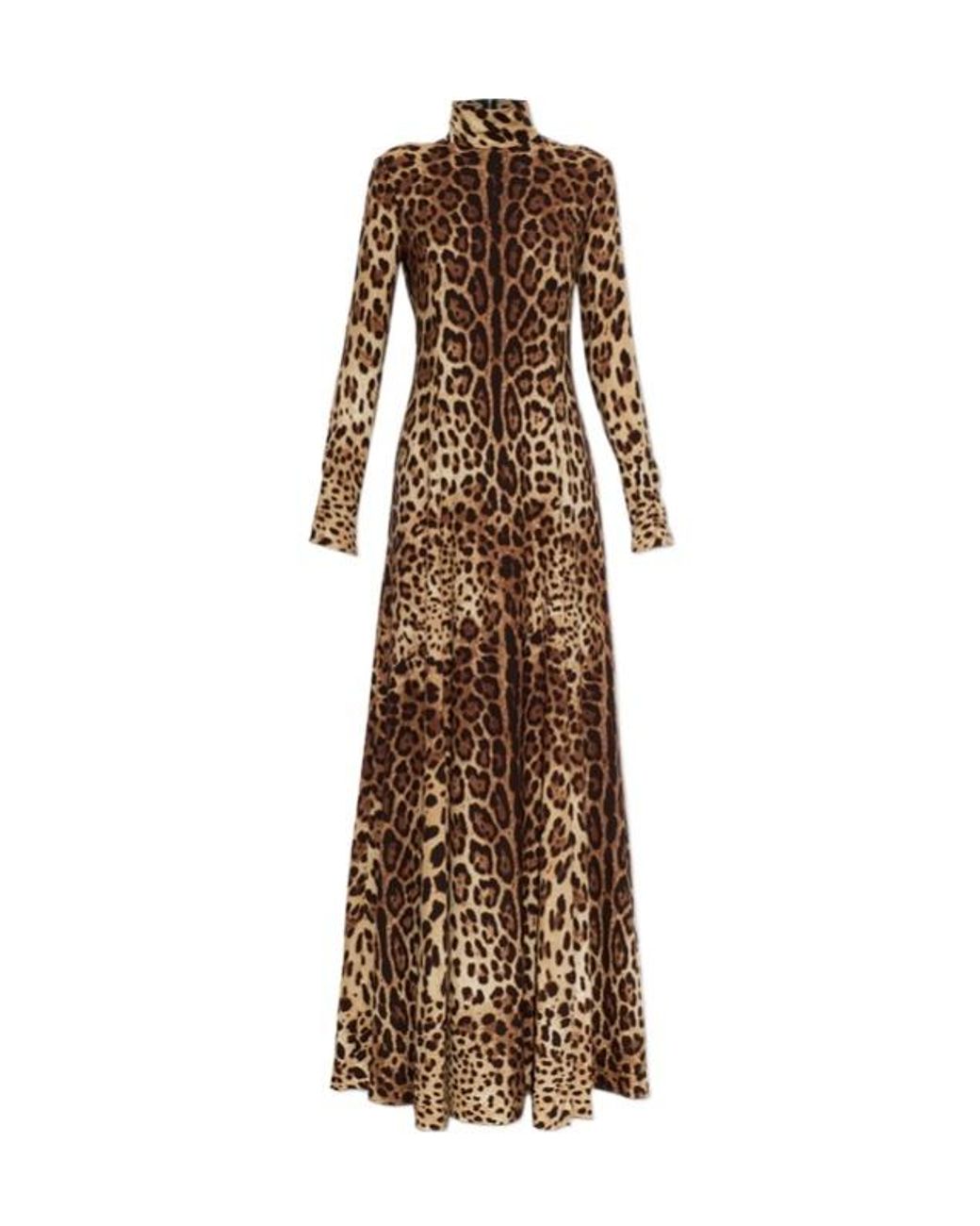 Dolce & Gabbana Brown Animal-Print Maxi Dress