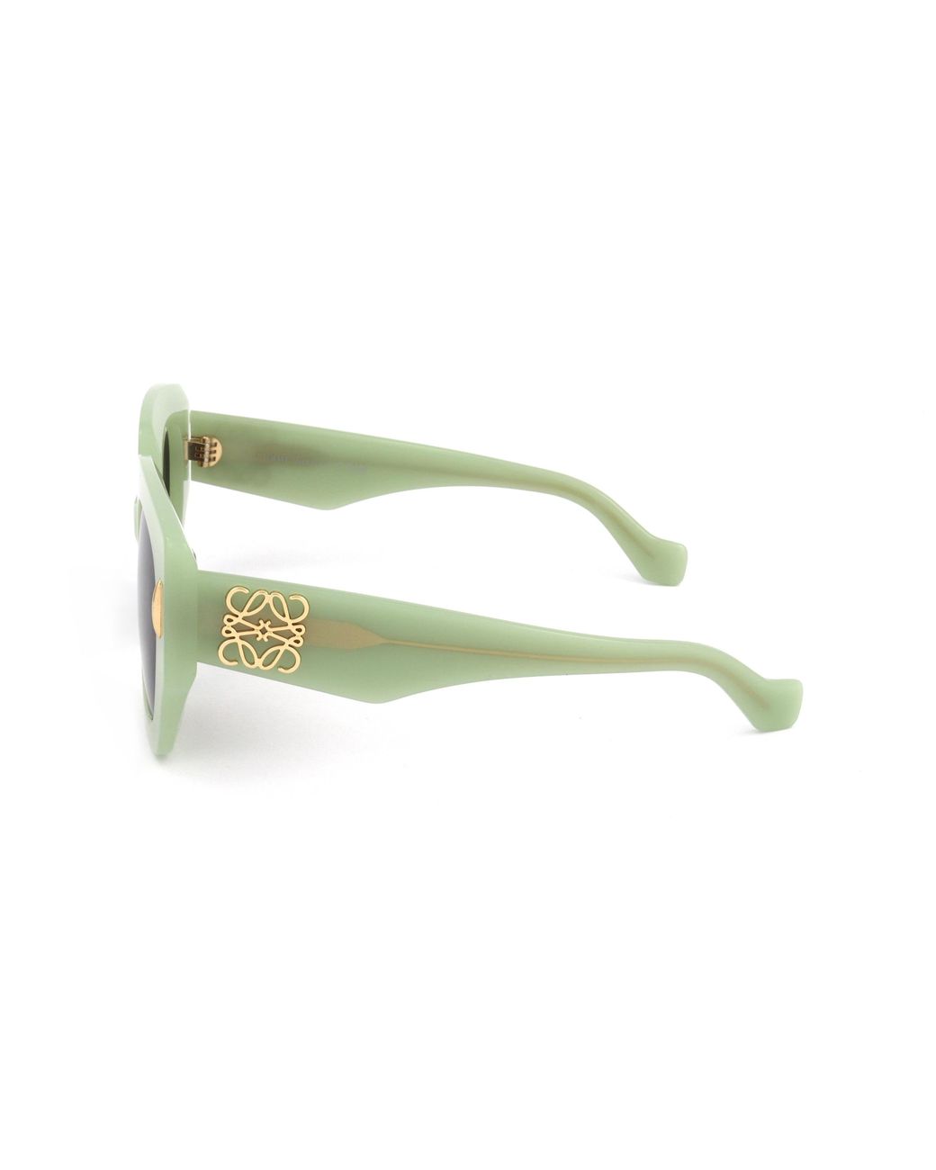 Loewe Multicolor Full Frame Sunglasses