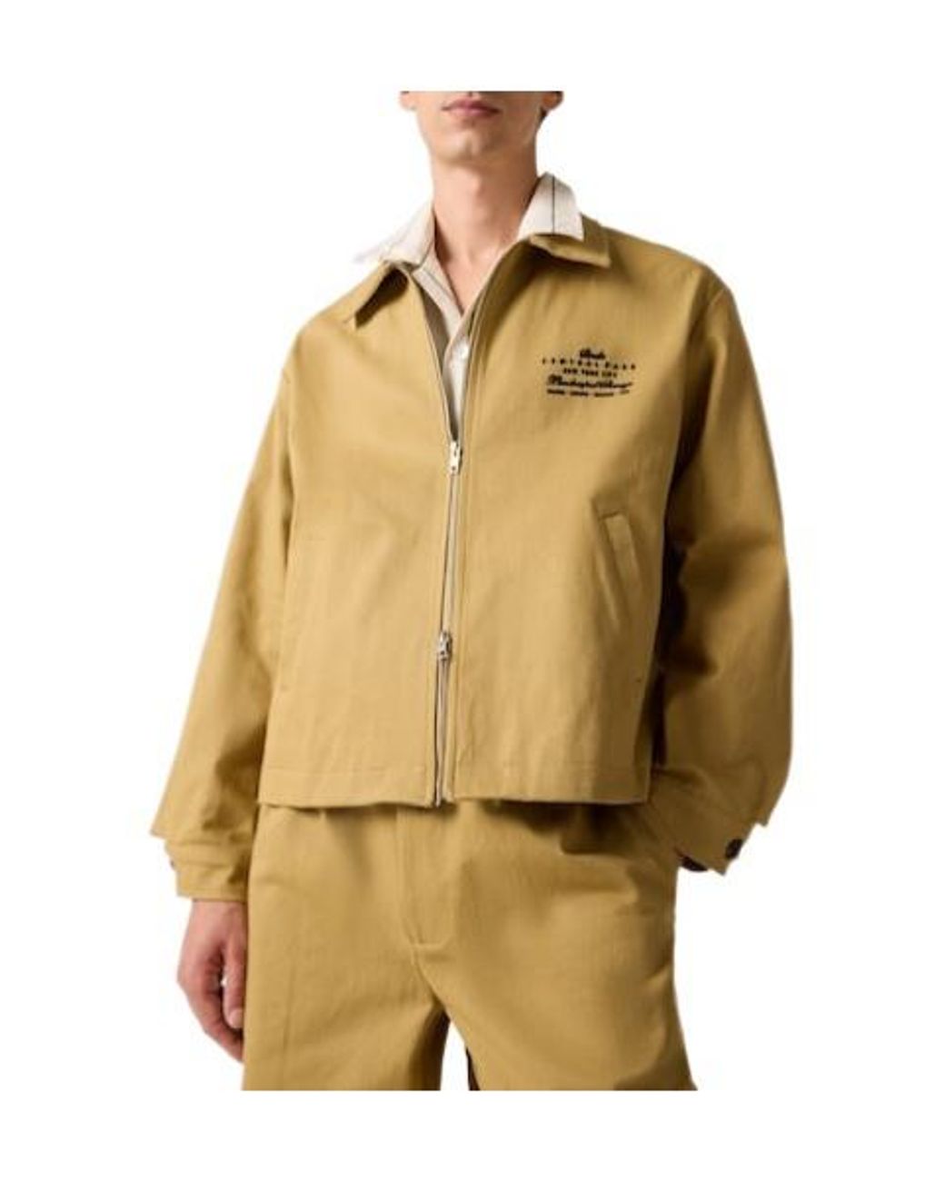 Bode Natural Central Park Cotton Blouson Jacket for men