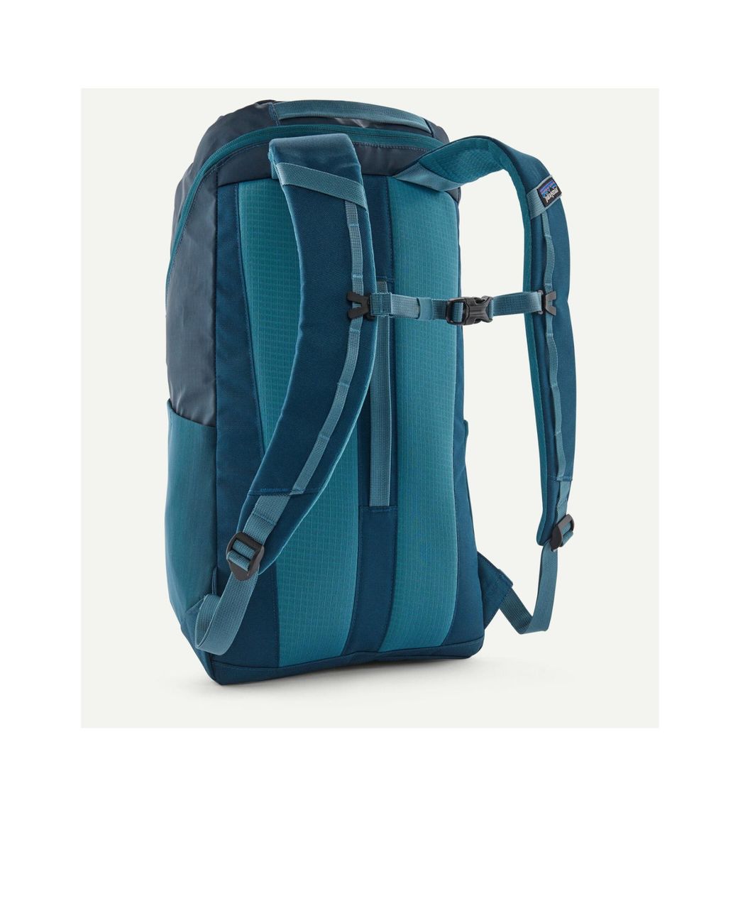 Patagonia Blue Hole 25L Backpack for men