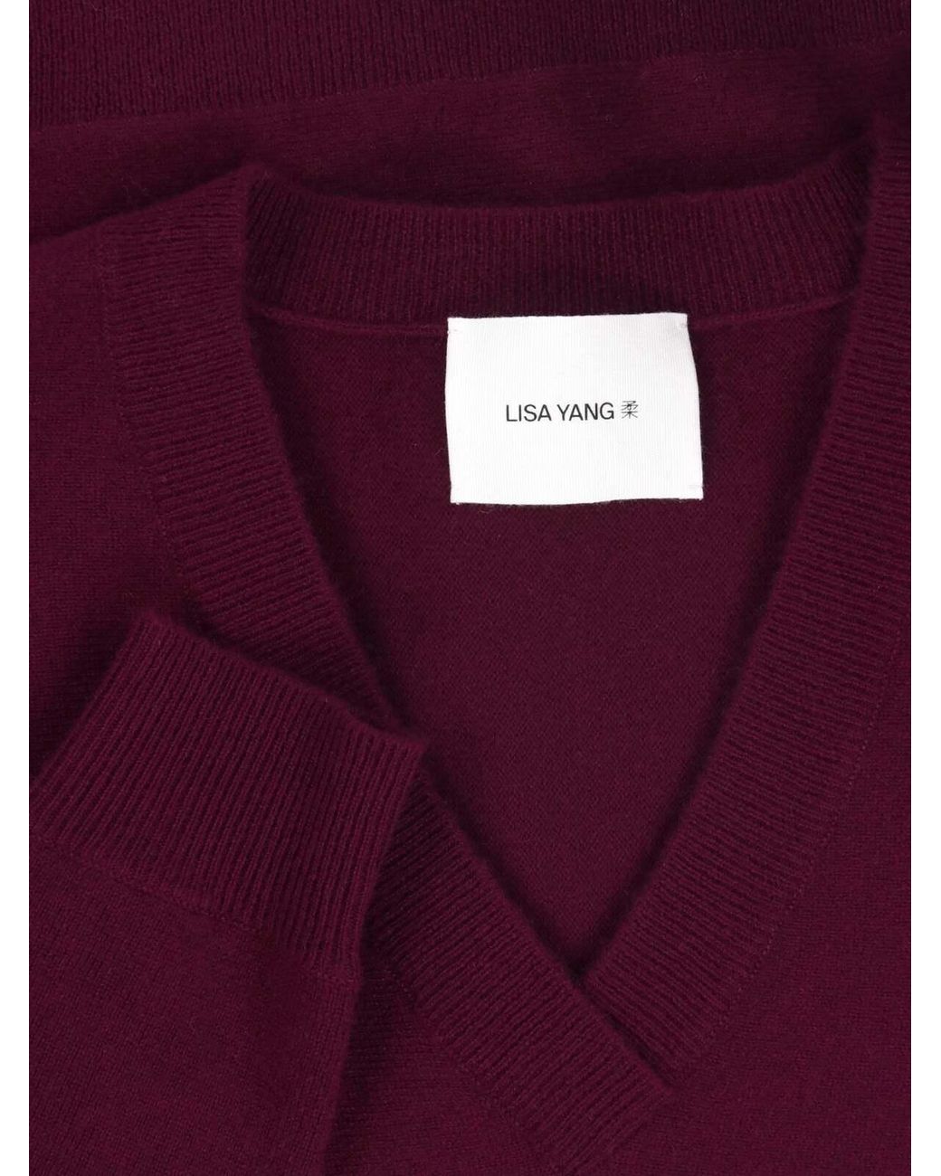 Lisa Yang Red V-Neck Knitted Sweater