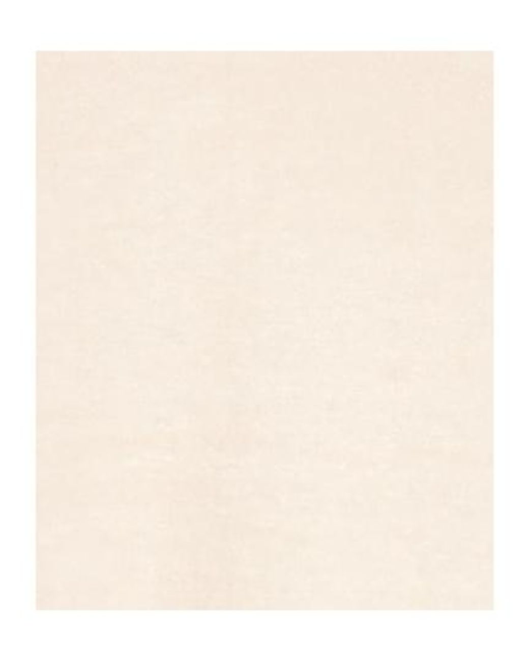 MAX&Co. Natural Solid Knit Top