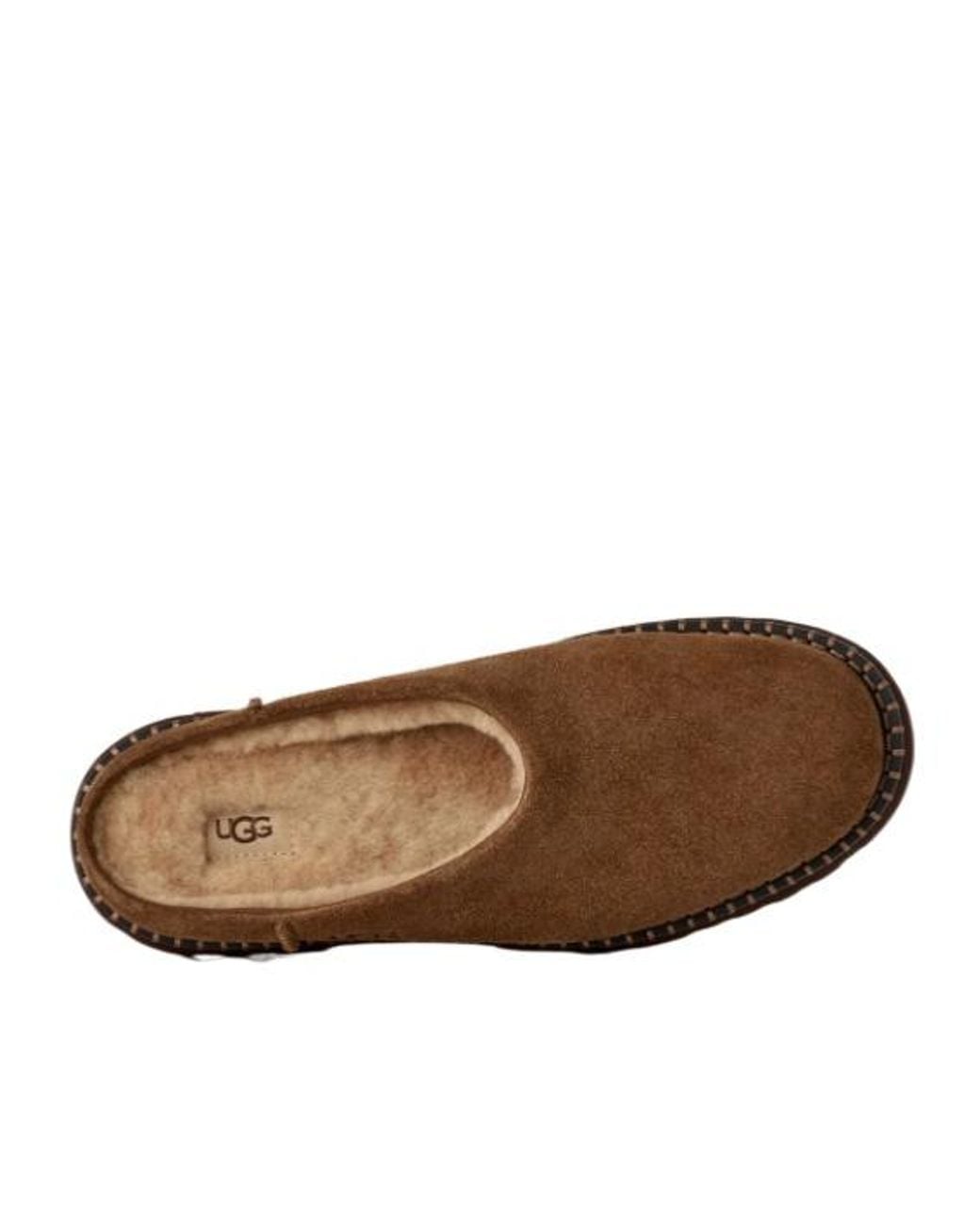 Ugg Brown Uptowner Mule