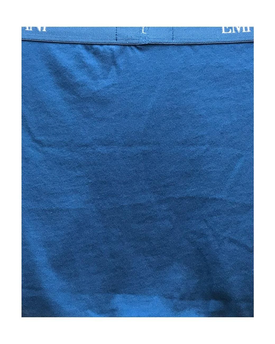 Emporio Armani Blue Logo Waist Panties for men