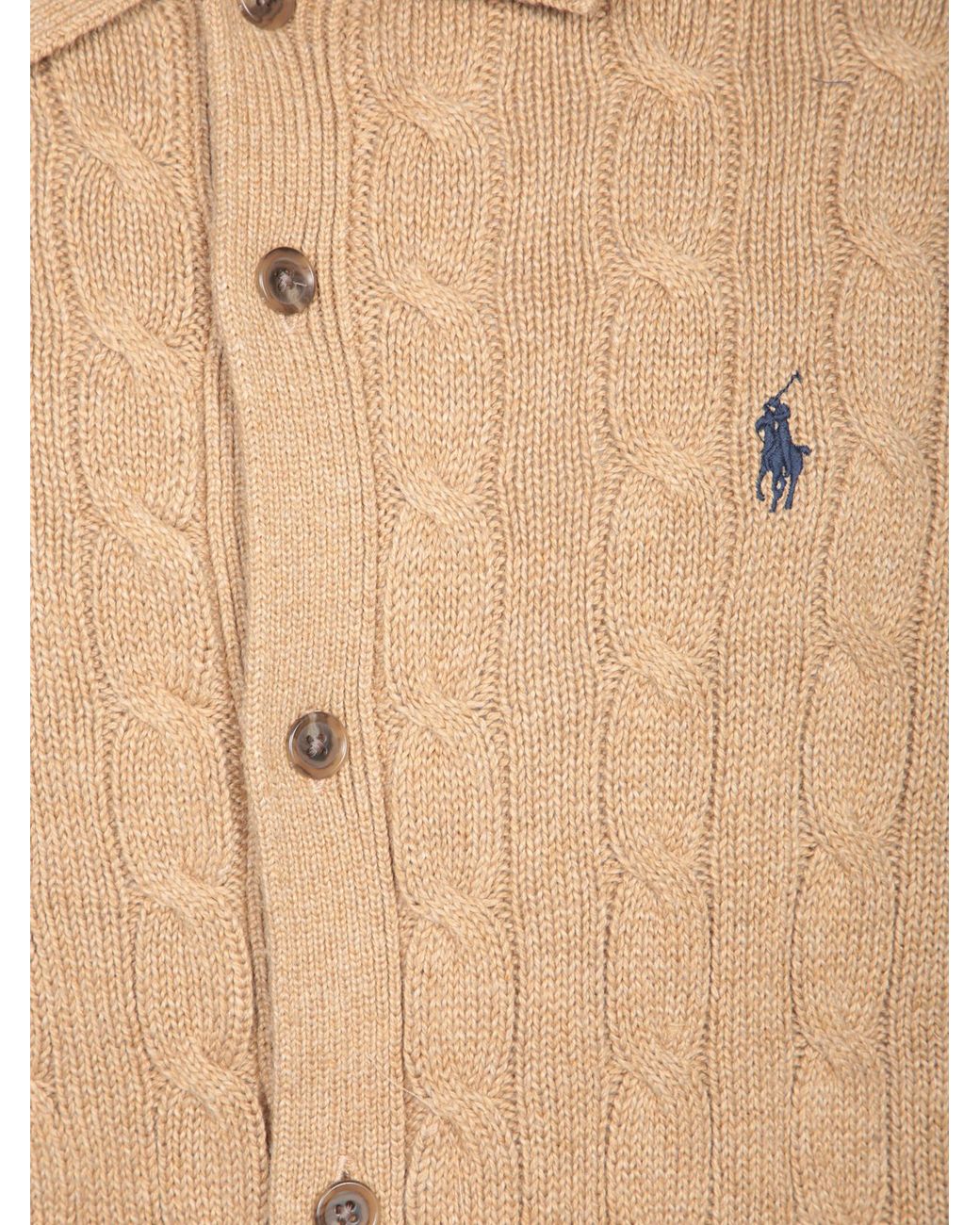 Polo Ralph Lauren Brown Logo Embroidered Buttoned Cardigan for men