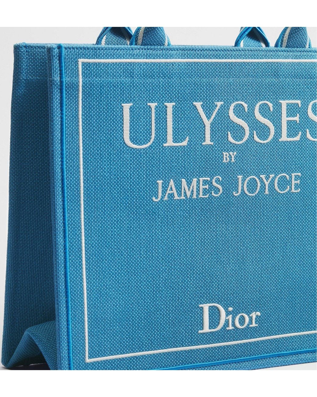 Dior Blue Medium Book Tote With Strap for men