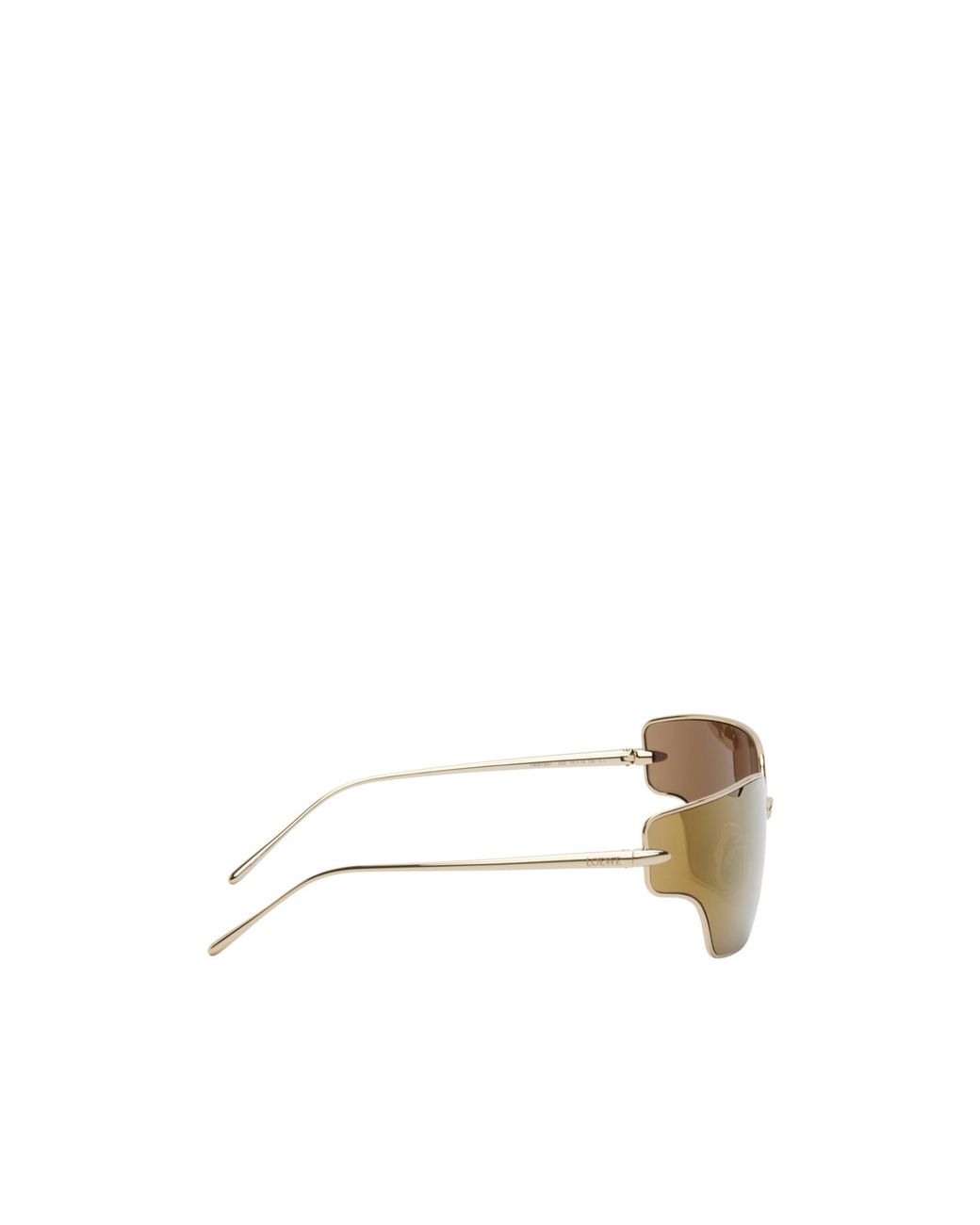 Loewe Multicolor Cat Eye Frame Sunglasses