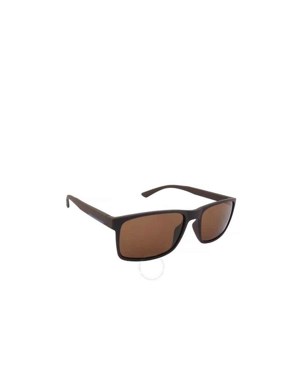 Calvin Klein Multicolor Logo Sunglasses for men