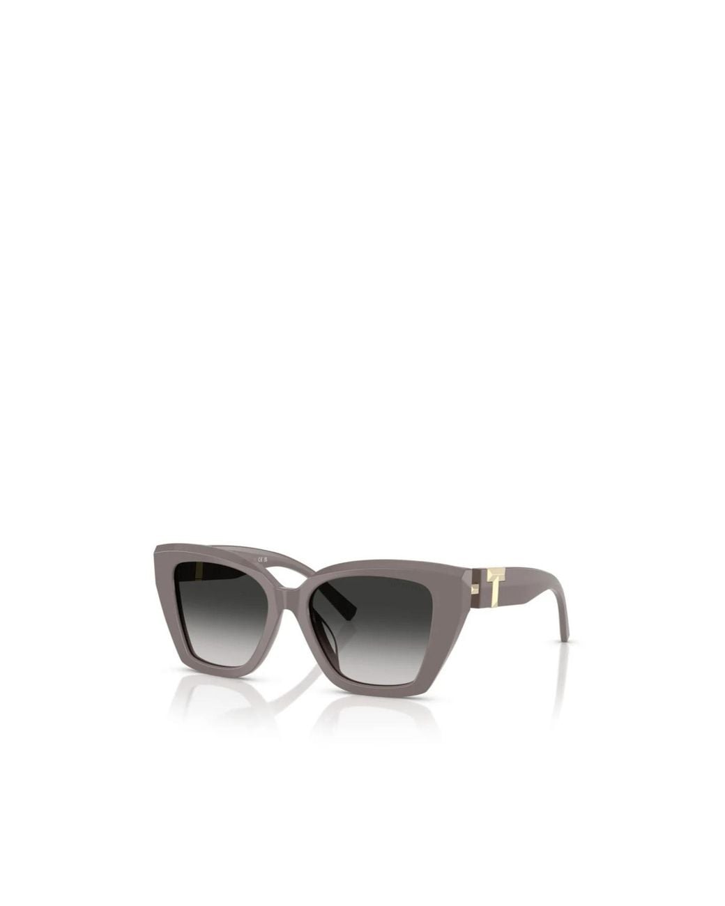 Tiffany & Co Multicolor Full Frame Sunglasses