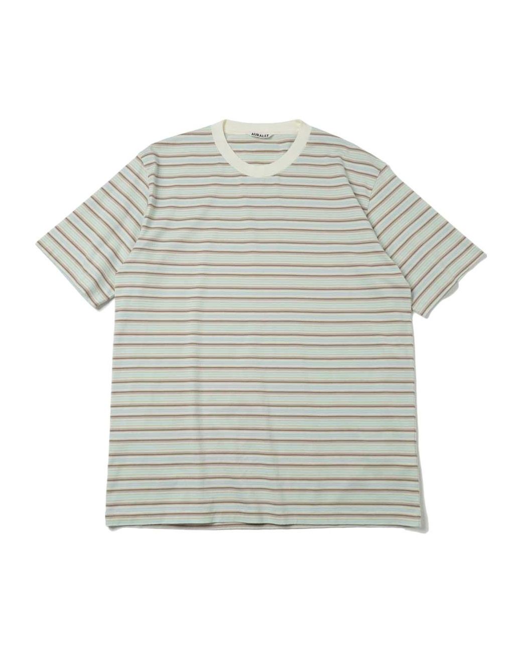 Auralee Gray Striped Crewneck T-Shirt for men
