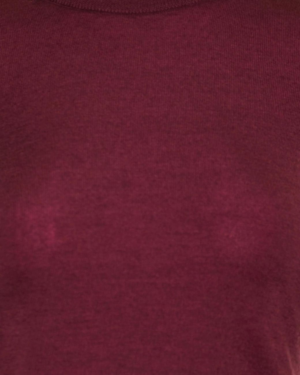 Gabriela Hearst Purple Crewneck Long-Sleeved Top