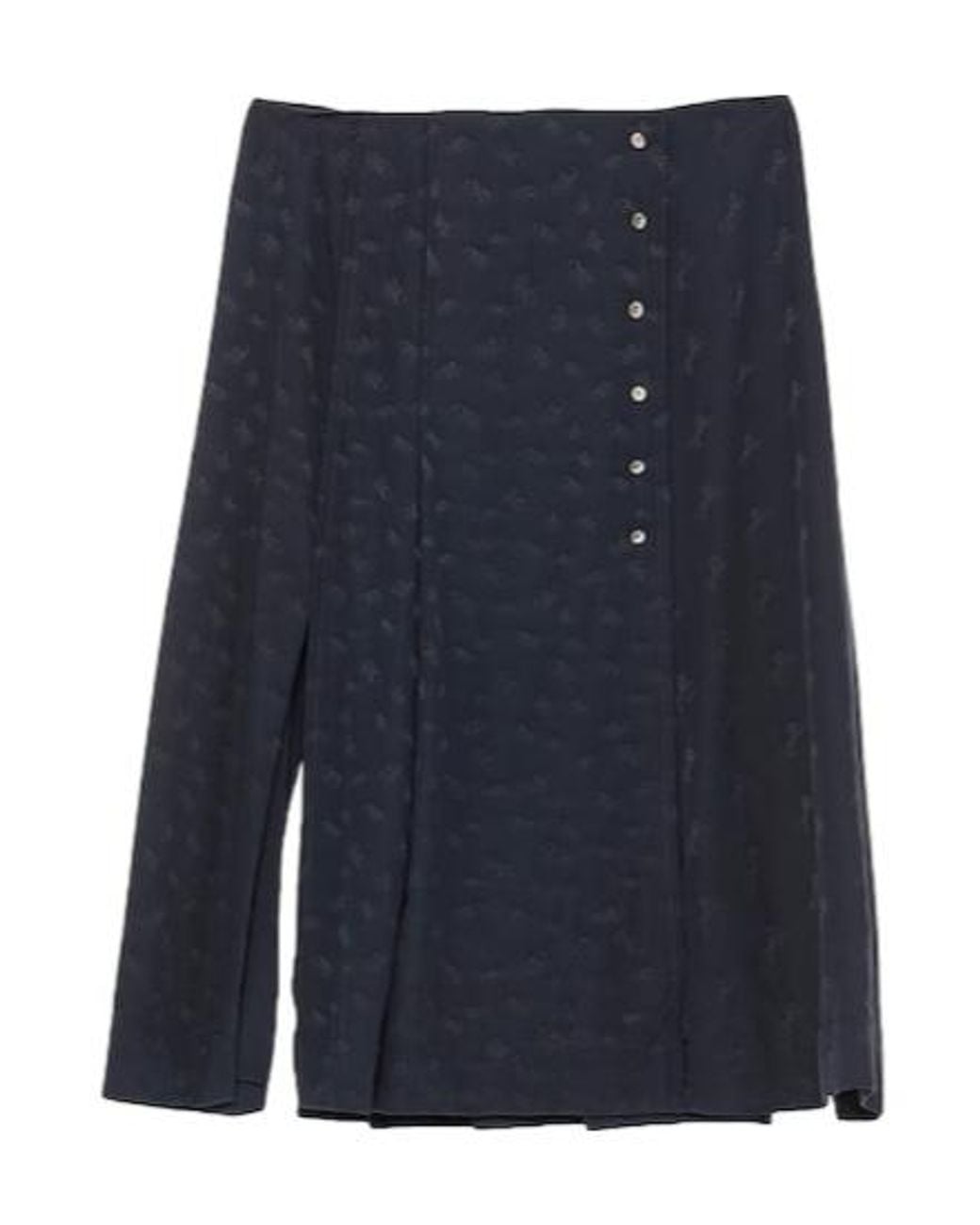Chloé Blue Printed Midi Skirt