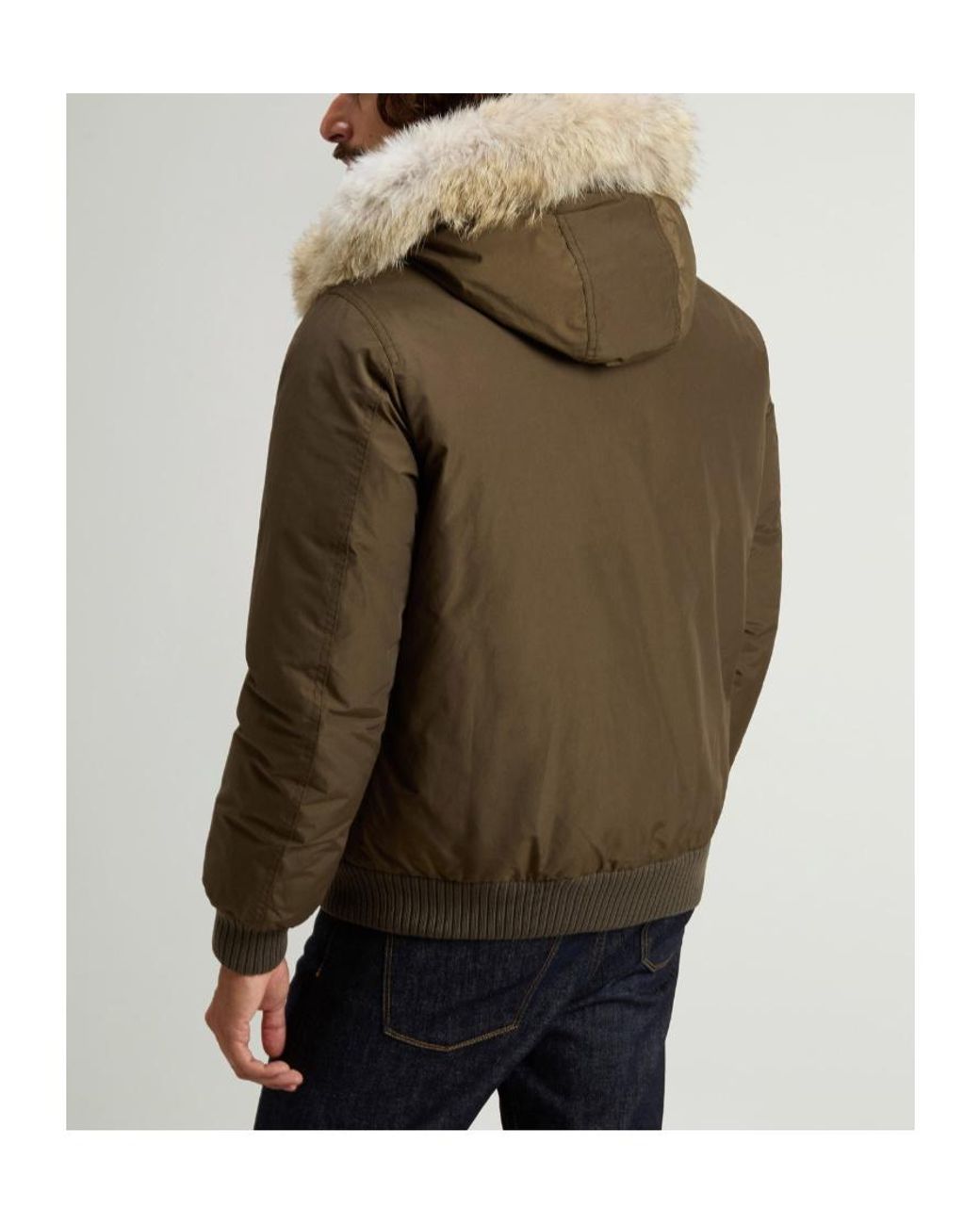 Woolrich Brown Polar Hooded Bomber Jacket for men