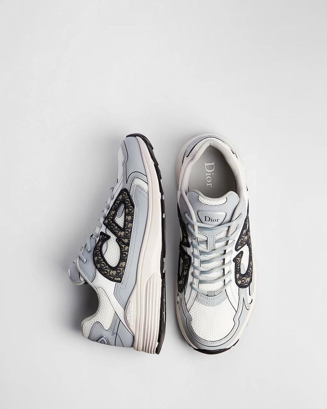 Dior Gray B30Countdown Sneaker for men