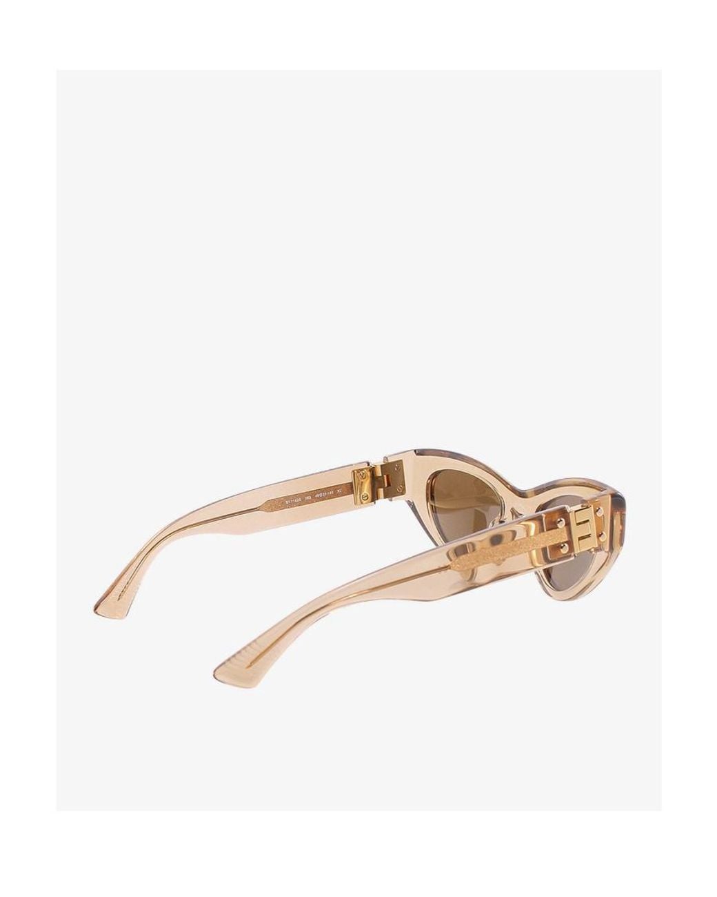 Bottega Veneta Natural Eyewear Cat-Eye Frame Sunglasses