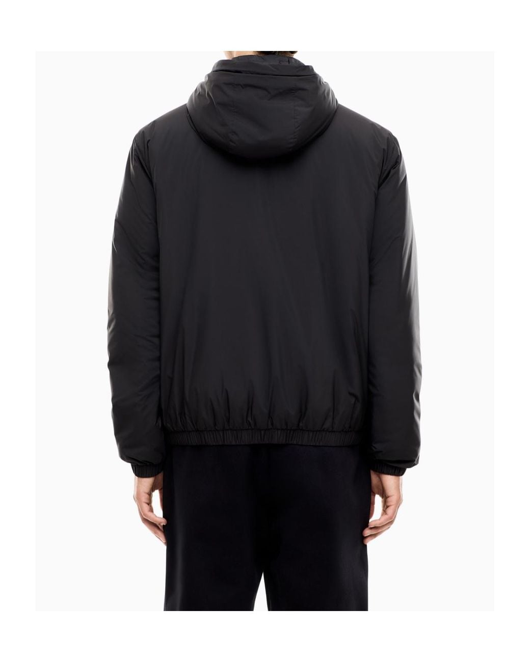 EA7 Blue Logo Insulated Hooded Jacket for men