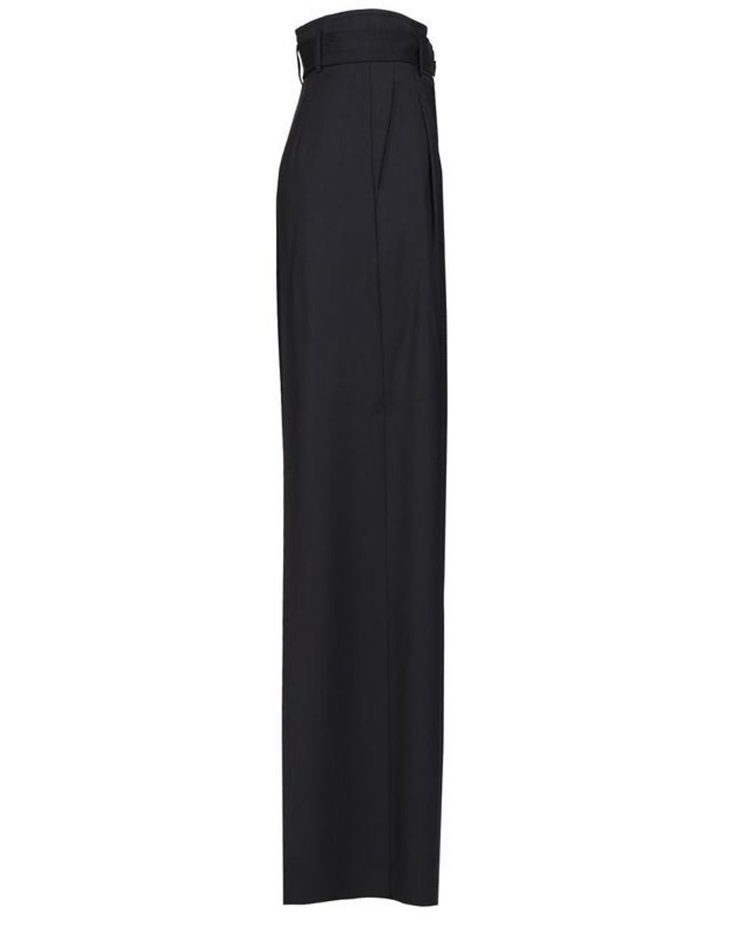Max Mara Blue Studio Mstserio Wide-Leg Pants